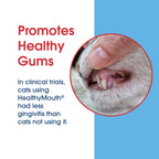 HealthyMouth® Dental Finger Wipes with Dental Topical Gel For Cats