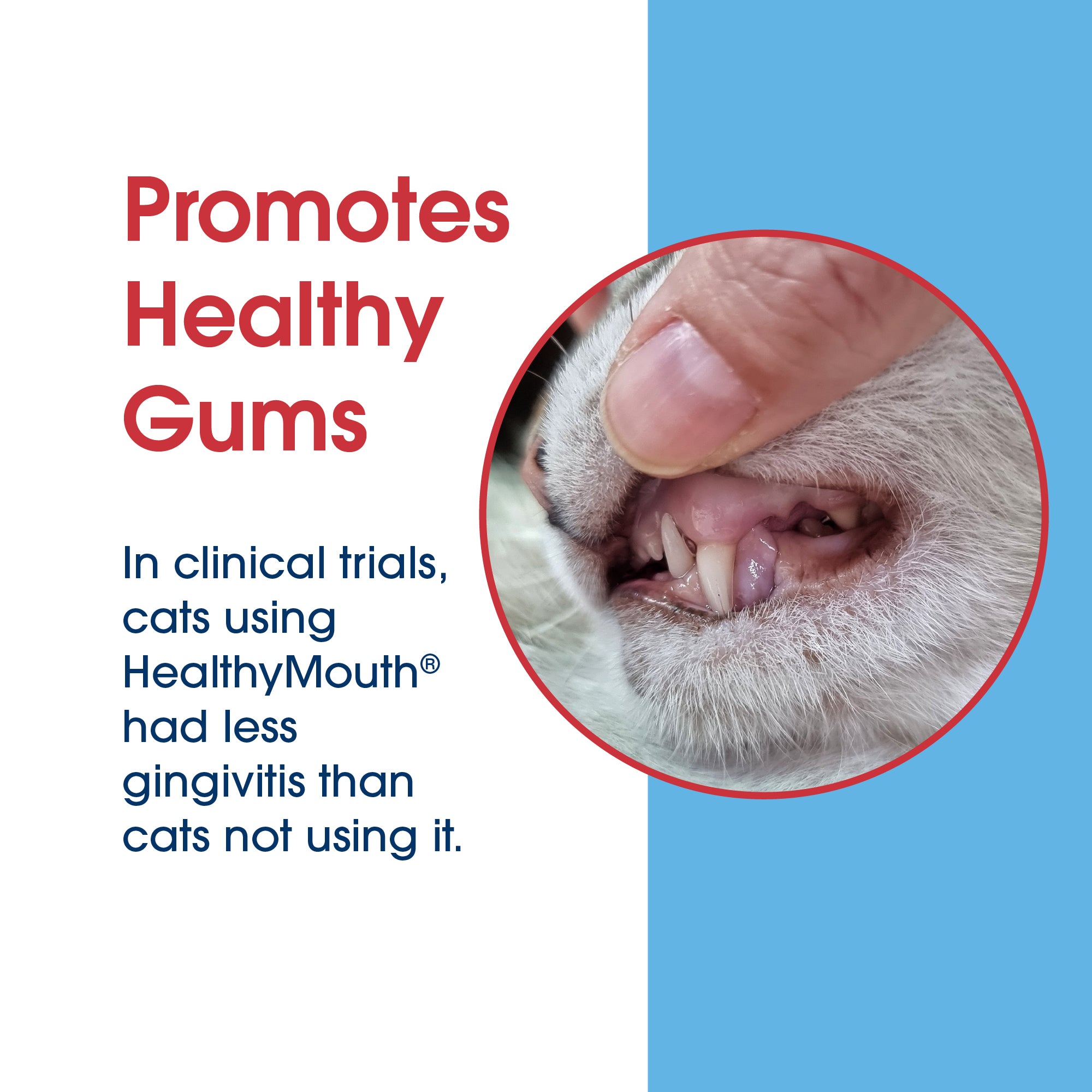 HealthyMouth® Dental Finger Wipes with Dental Topical Gel For Cats