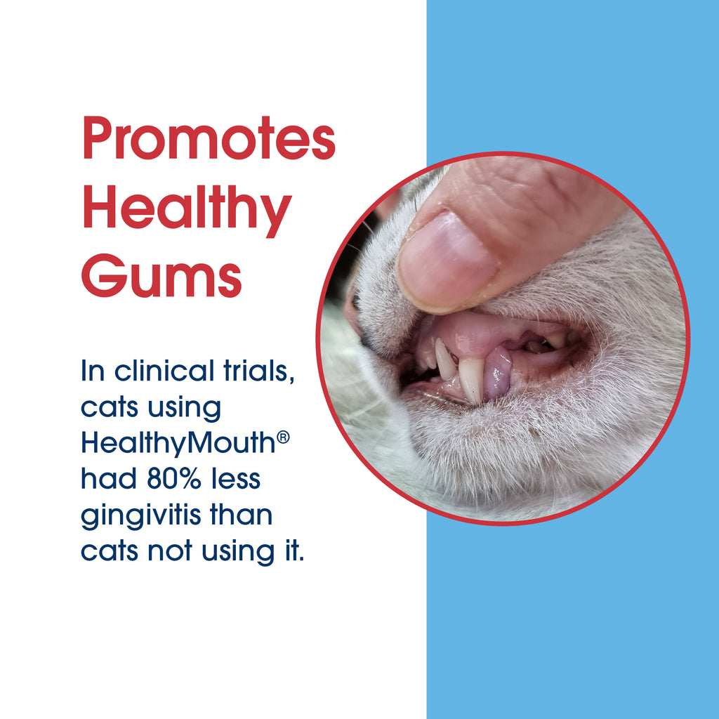 HealthyMouth® Dental Topical Gel For Cats  (Clinically Proven, VOHC Accepted)