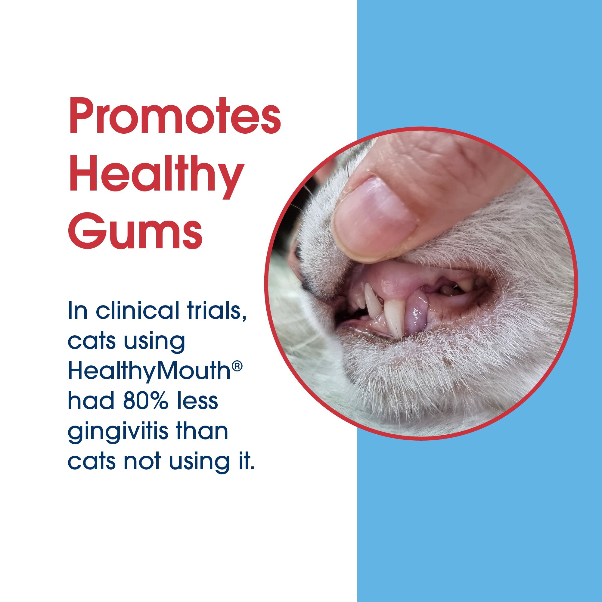 HealthyMouth® Dental Topical Gel For Cats  (Clinically Proven, VOHC Accepted)
