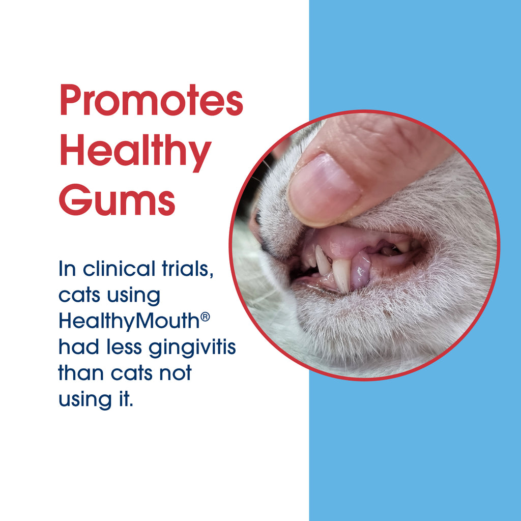 HealthyMouth® Dental Topical Spray For Cats (Clinically Proven, VOHC Accepted)