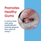 HealthyMouth® Dental Topical Spray For Cats (Clinically Proven, VOHC Accepted)