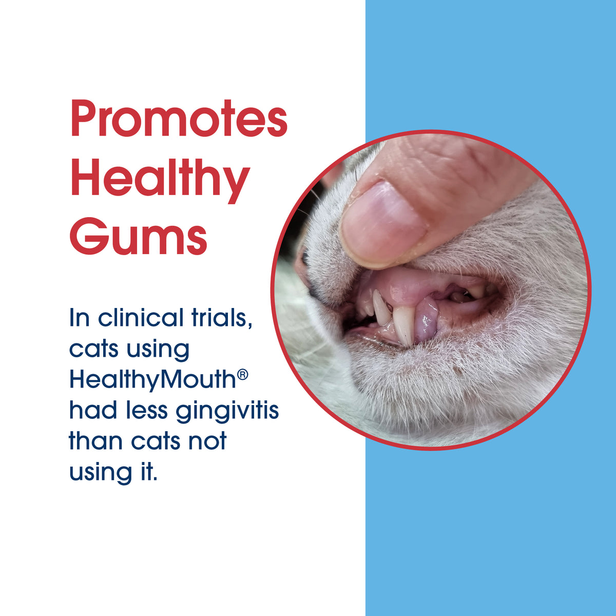 HealthyMouth® Dental Topical Spray For Cats (Clinically Proven, VOHC Accepted)