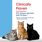 HealthyMouth® Dental Topical Spray For Cats (Clinically Proven, VOHC Accepted)