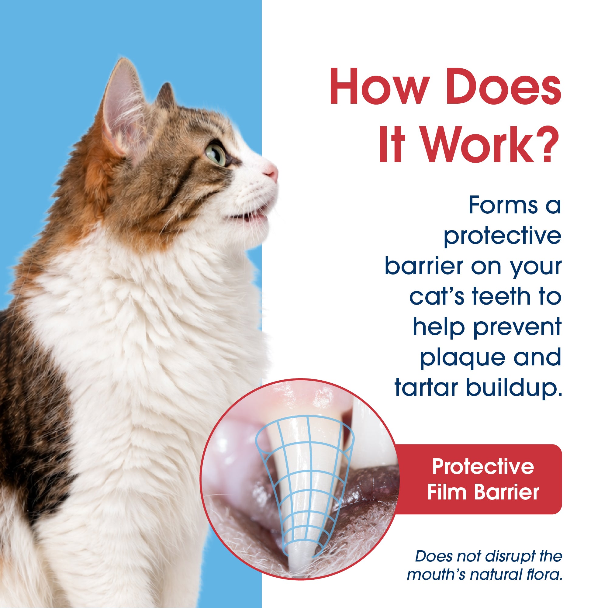 HealthyMouth® Dental Topical Spray For Cats (Clinically Proven, VOHC Accepted)