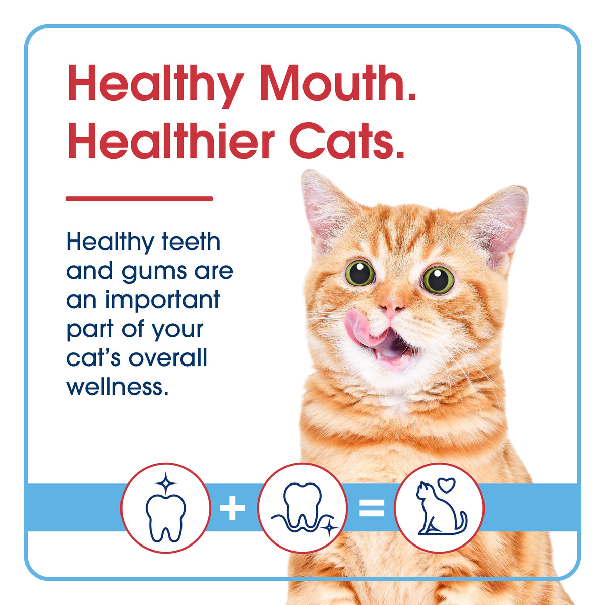 HealthyMouth® Dental Topical Spray For Cats (Clinically Proven, VOHC Accepted)