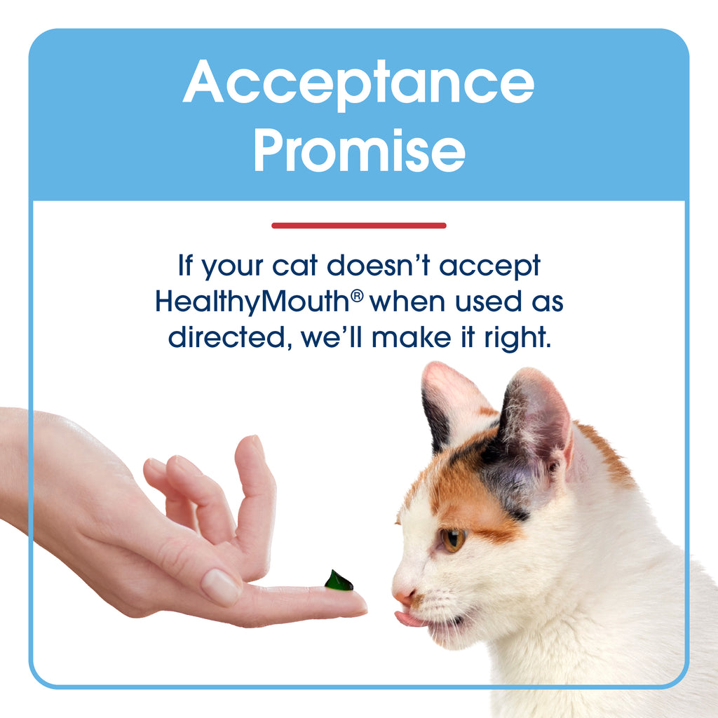 HealthyMouth® Dental Topical Gel For Cats  (Clinically Proven, VOHC Accepted)
