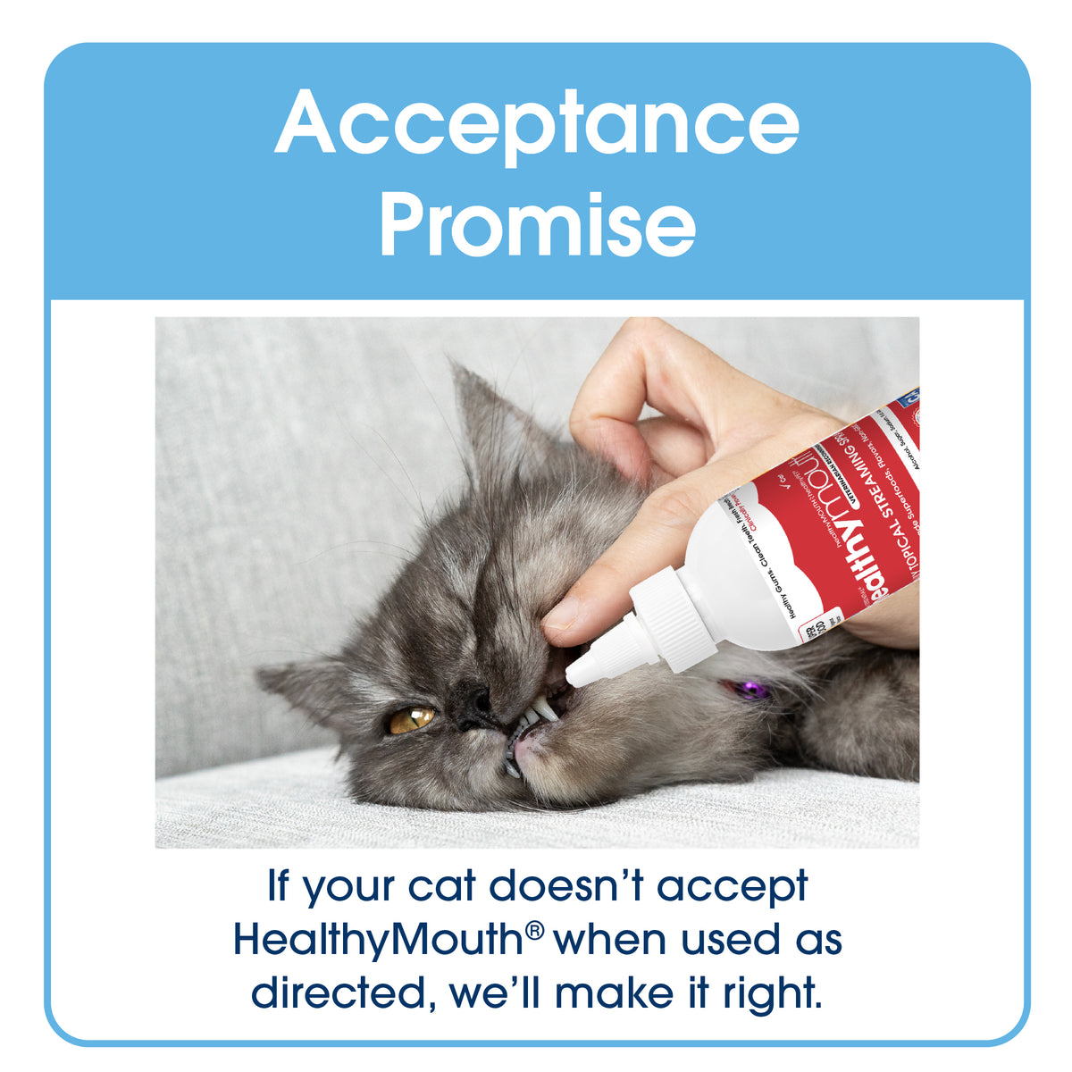 HealthyMouth® Dental Topical Spray For Cats (Clinically Proven, VOHC Accepted)
