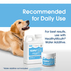 HealthyMouth® Dental Topical Gel For Dogs (Clinically Proven, VOHC Accepted)