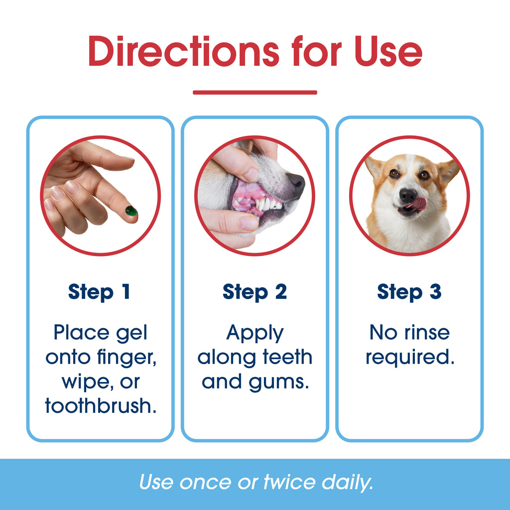 HealthyMouth® Dental Topical Gel For Dogs (Clinically Proven, VOHC Accepted)