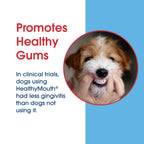 HealthyMouth® Dental Topical Gel For Dogs (Clinically Proven, VOHC Accepted)