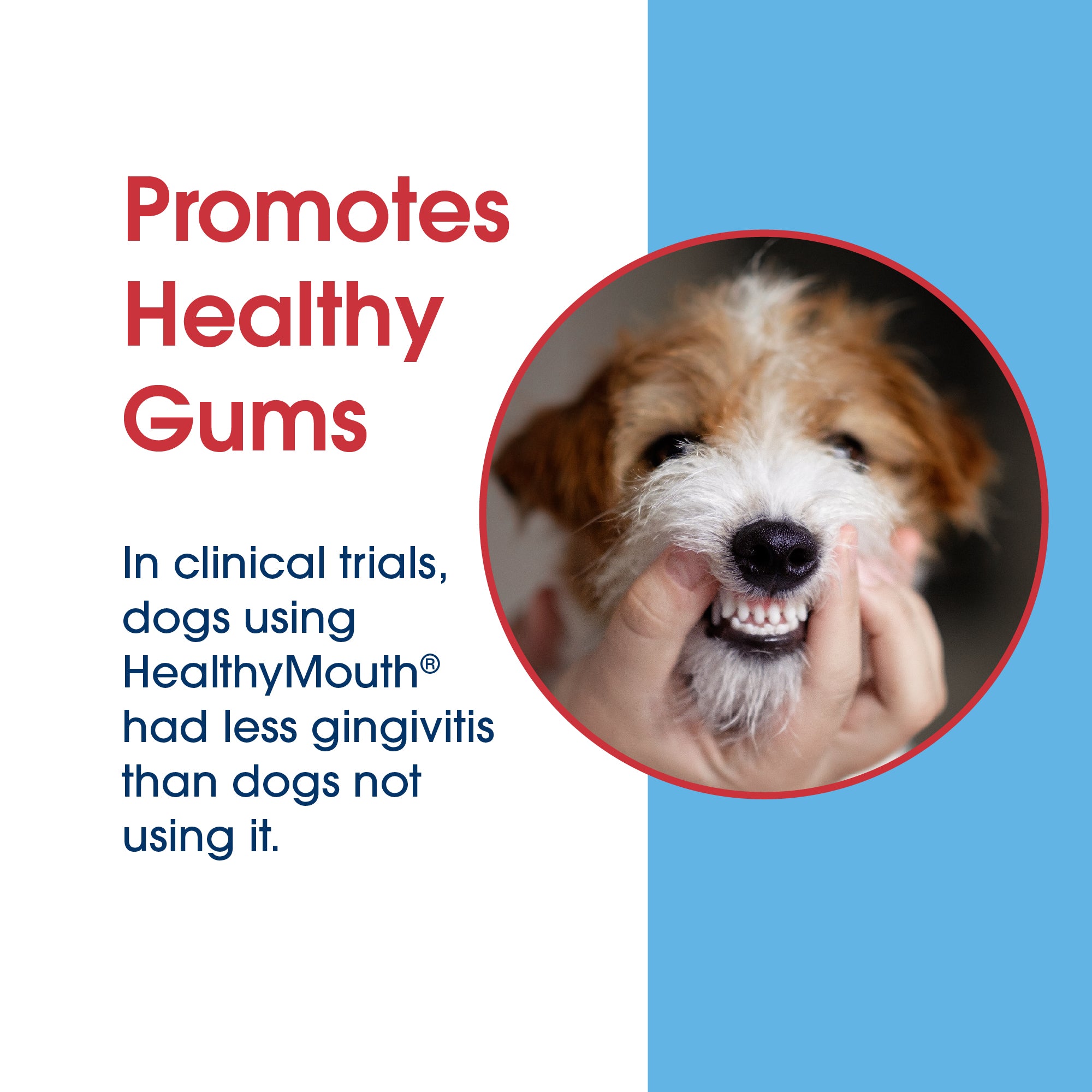 HealthyMouth® Dental Topical Gel For Dogs (Clinically Proven, VOHC Accepted)
