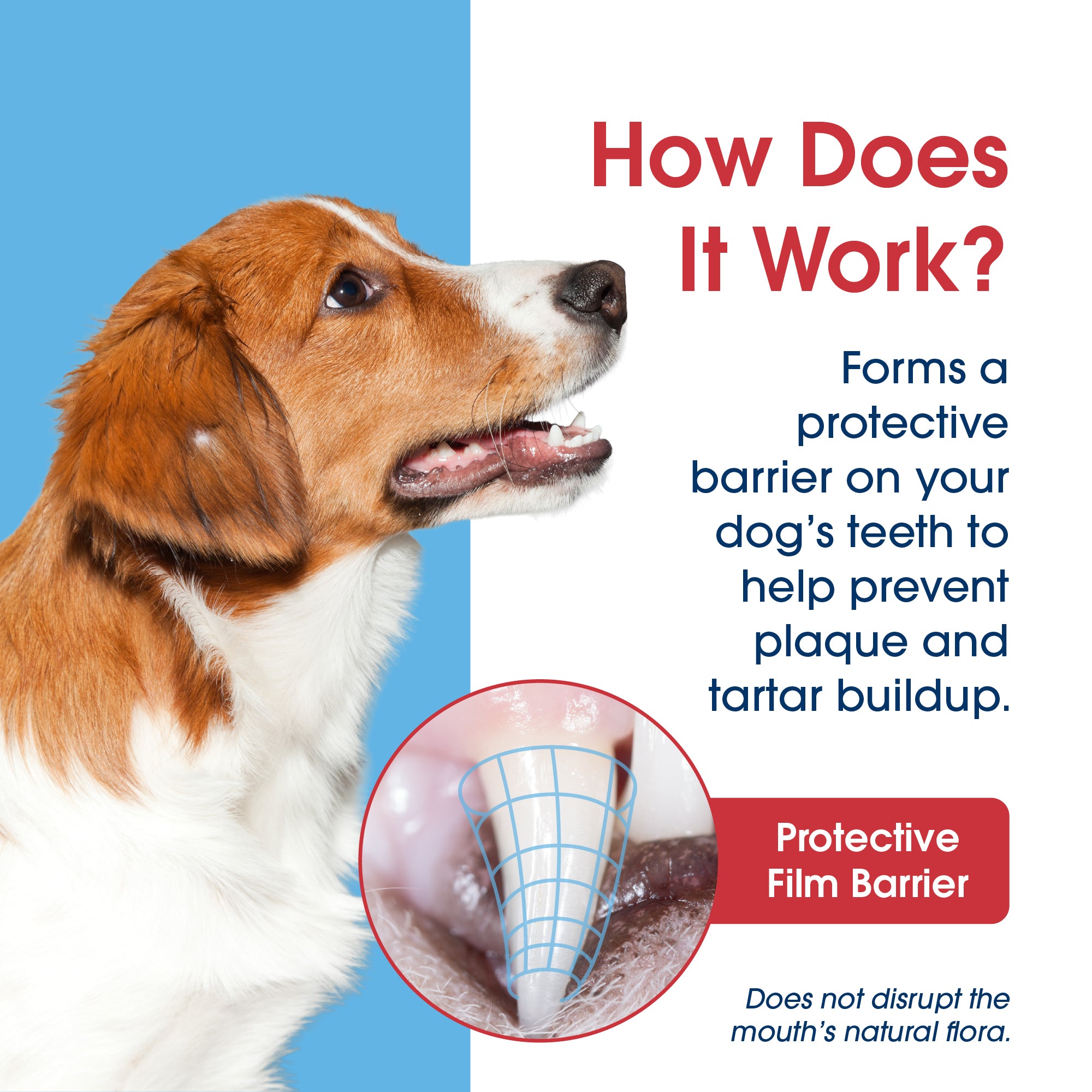 HealthyMouth® Dental Topical Gel For Dogs (Clinically Proven, VOHC Accepted)