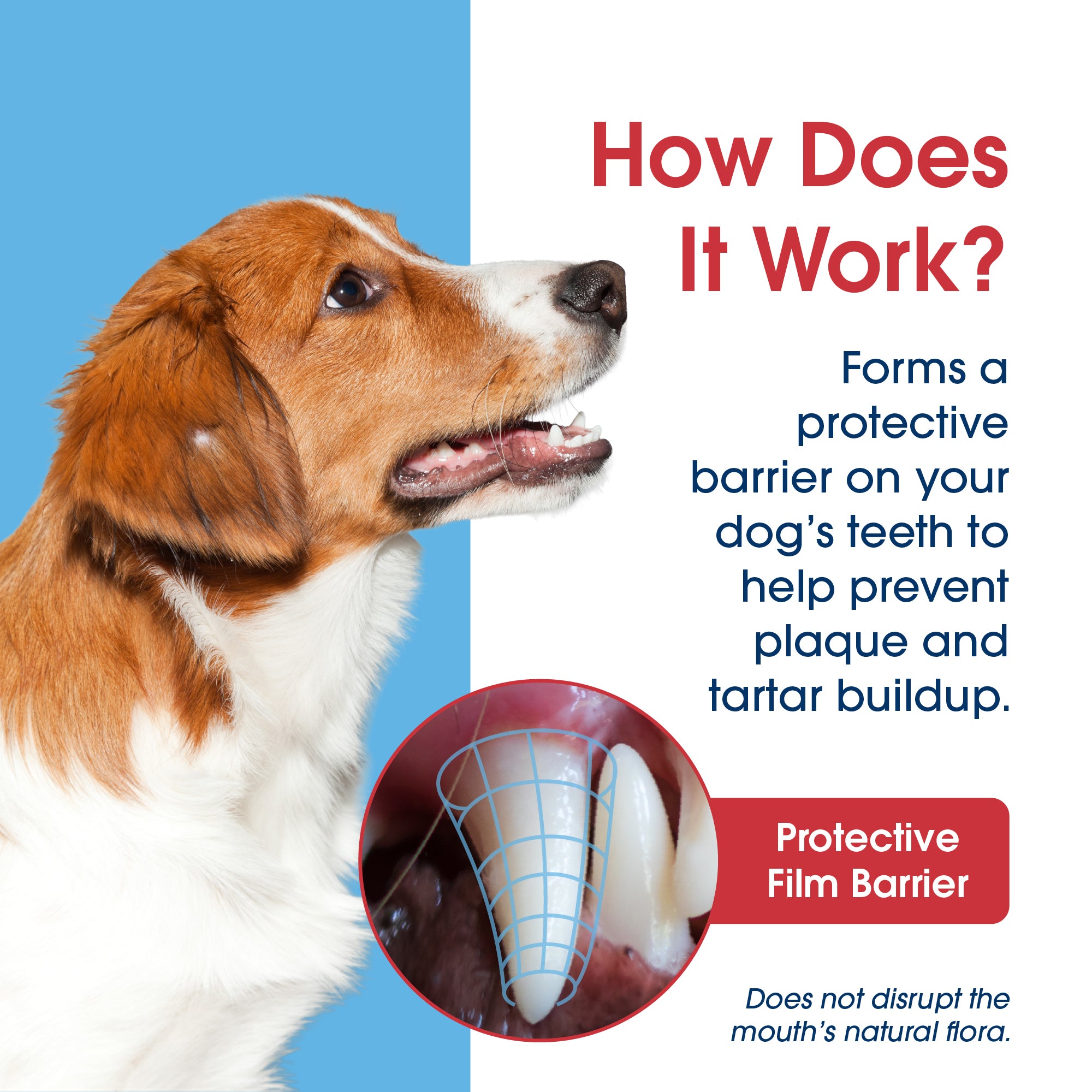 HealthyMouth® Water Additive For Dogs (Clinically Proven, VOHC Accepted)