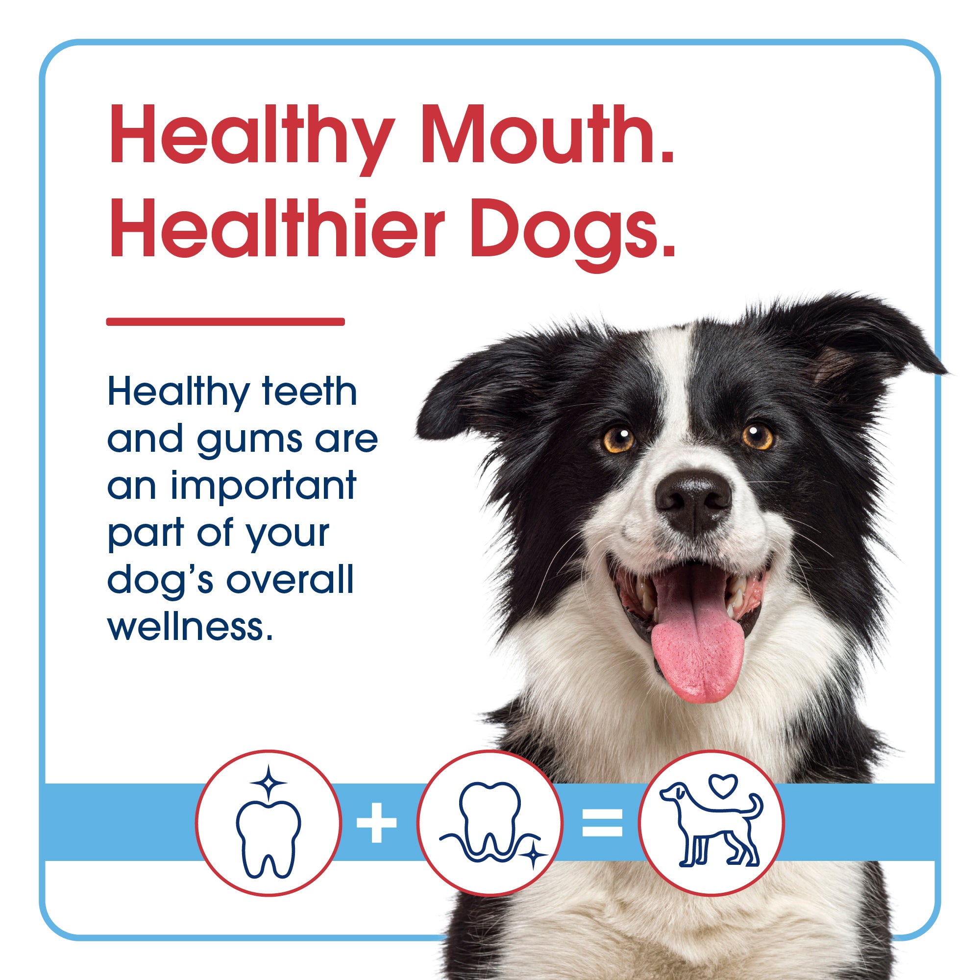 HealthyMouth® Dental Topical Gel For Dogs (Clinically Proven, VOHC Accepted)