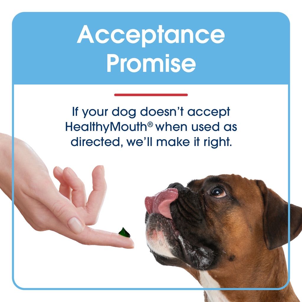 HealthyMouth® Dental Topical Gel For Dogs (Clinically Proven, VOHC Accepted)