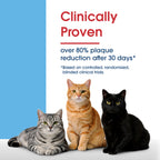 HealthyMouth® Water Additive for Cats (Clinically Proven, VOHC Accepted)