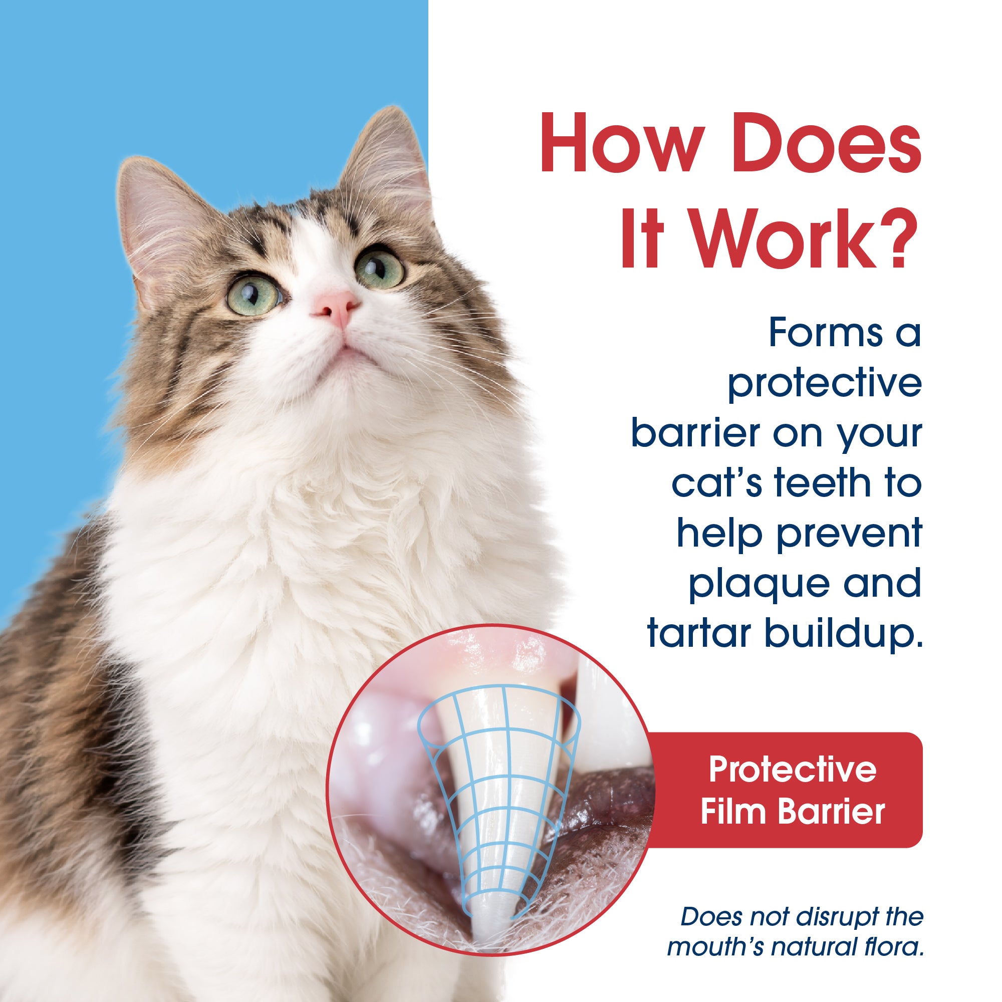 HealthyMouth® Water Additive for Cats (8 oz) Clinically Proven, VOHC® Accepted