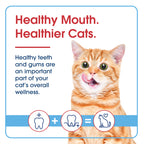 HealthyMouth® Water Additive for Cats (Clinically Proven, VOHC Accepted)