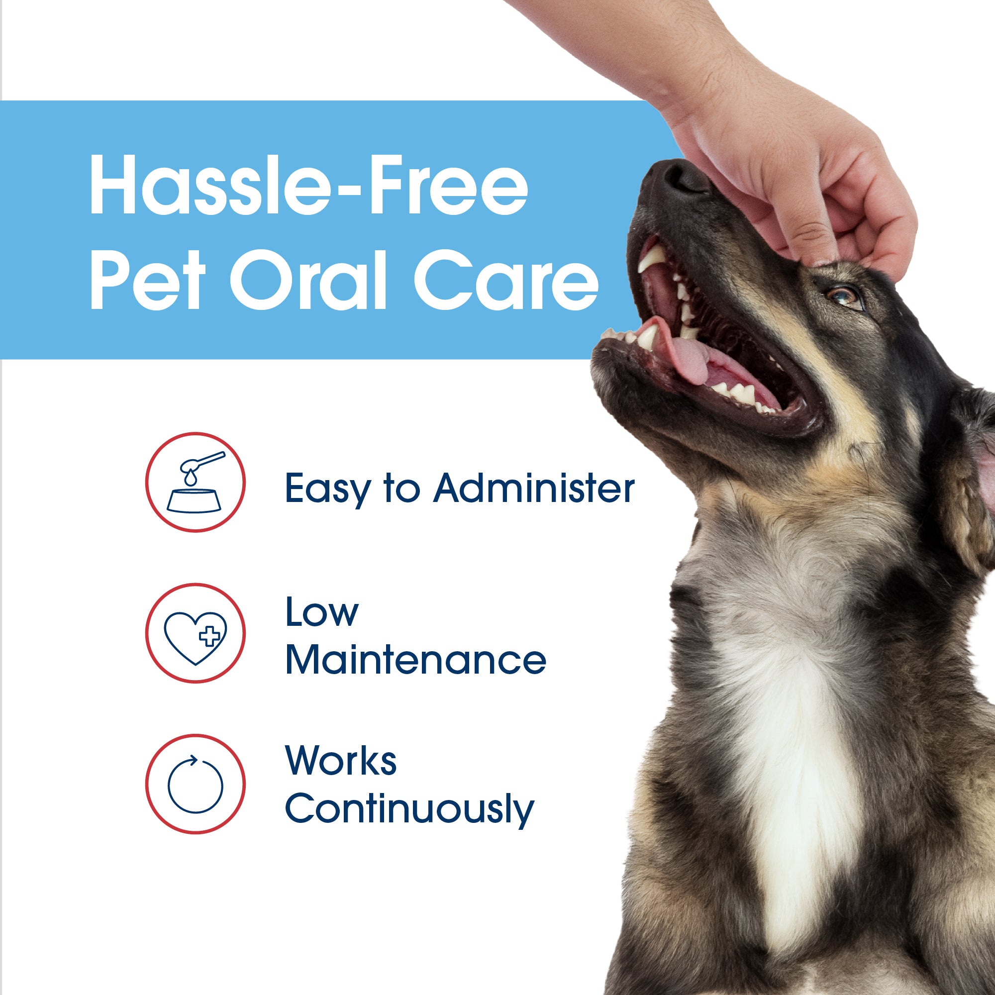 HealthyMouth® Water Additive for Dogs (8 oz) Clinically Proven, VOHC® Accepted