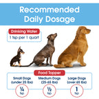HealthyMouth® Water Additive For Dogs (Clinically Proven, VOHC Accepted)