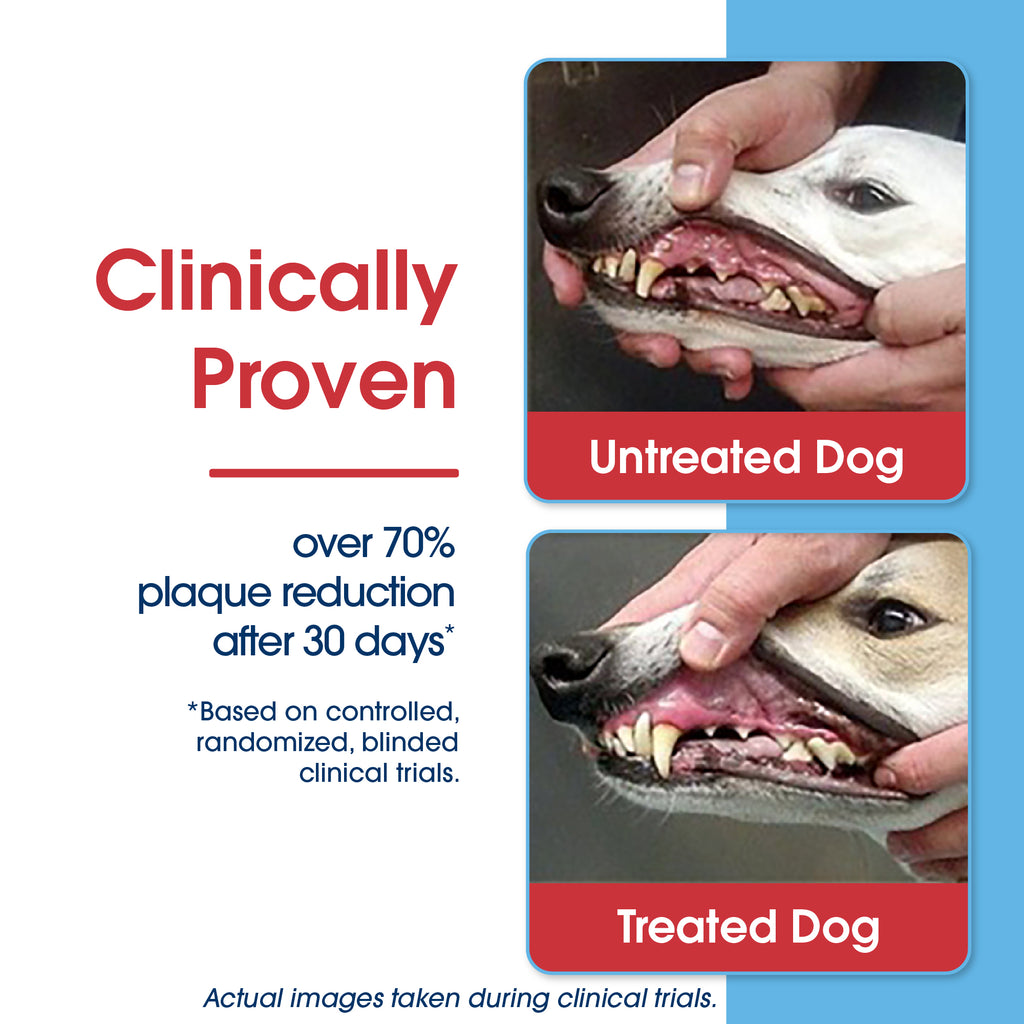 HealthyMouth® Water Additive For Dogs (Clinically Proven, VOHC Accepted)