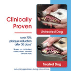 HealthyMouth® Water Additive For Dogs (Clinically Proven, VOHC Accepted)