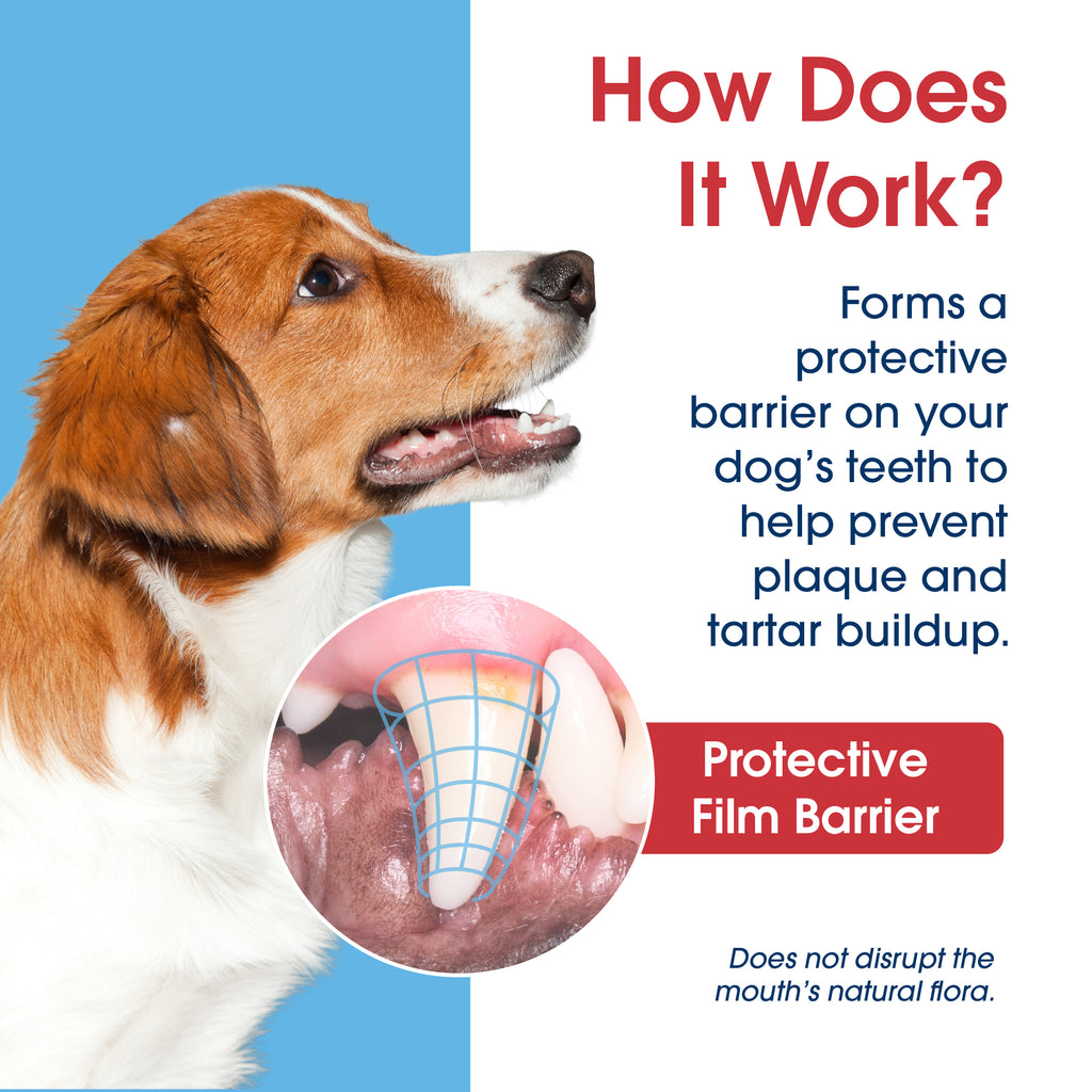 HealthyMouth® Water Additive For Dogs (Clinically Proven, VOHC Accepted)