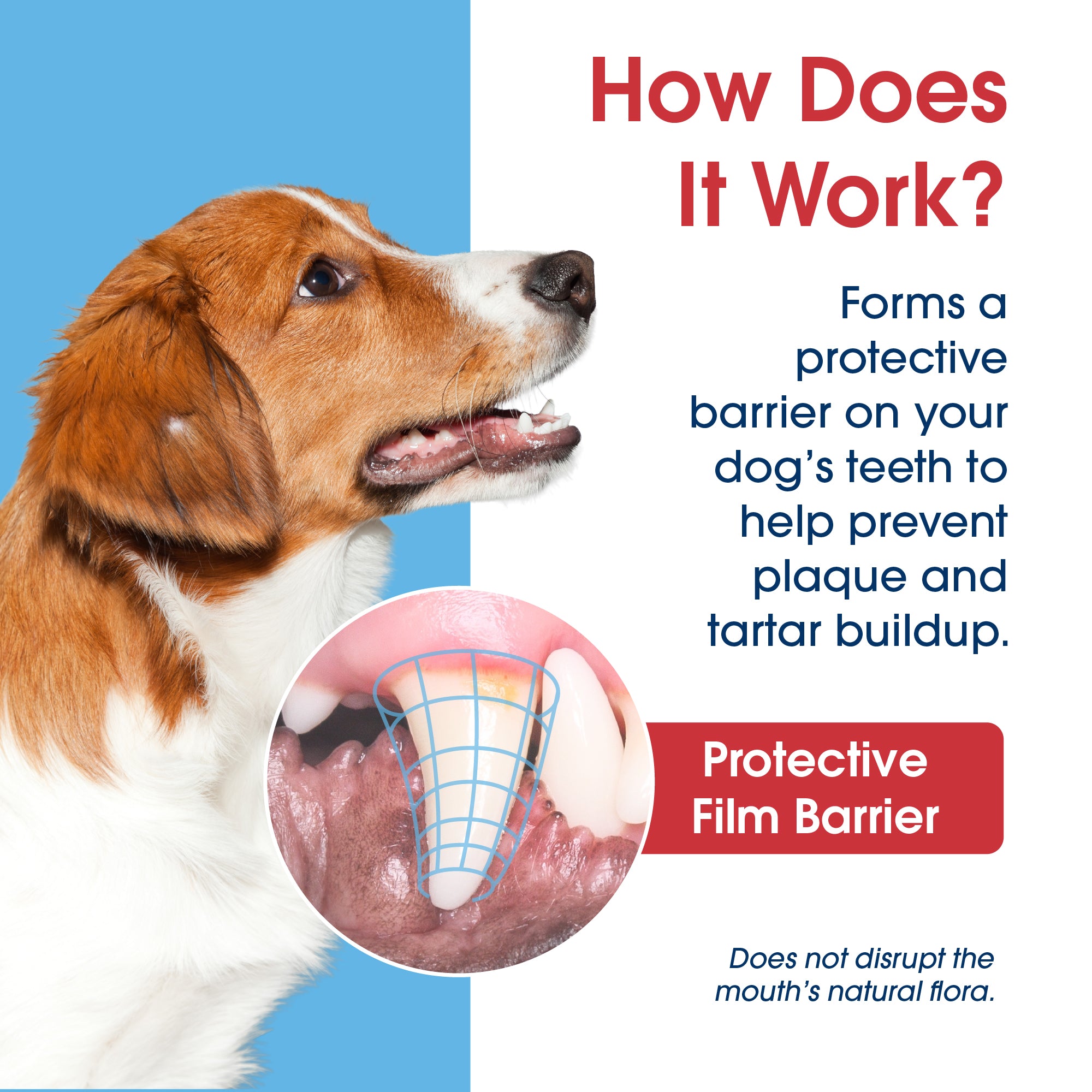 HealthyMouth® Water Additive for Dogs (8 oz) Clinically Proven, VOHC® Accepted