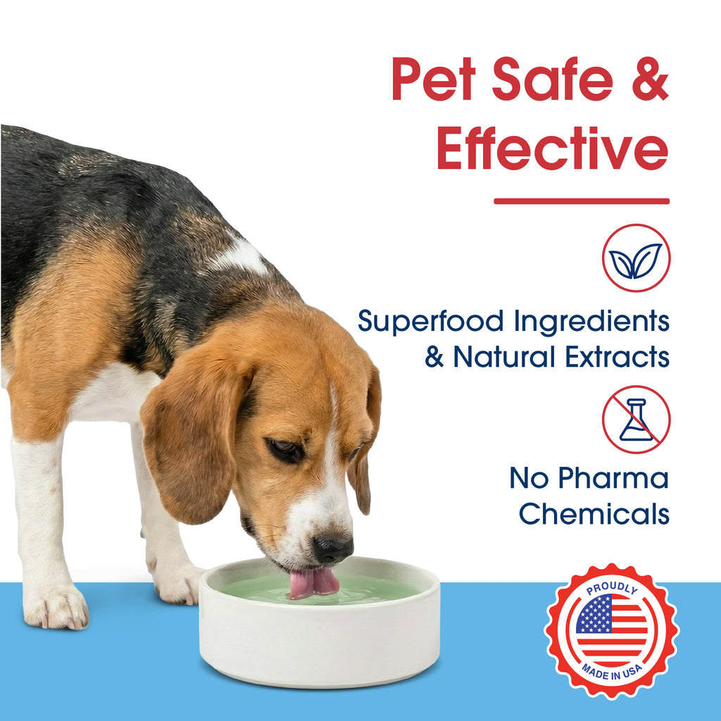 HealthyMouth® Water Additive For Dogs (Clinically Proven, VOHC Accepted)