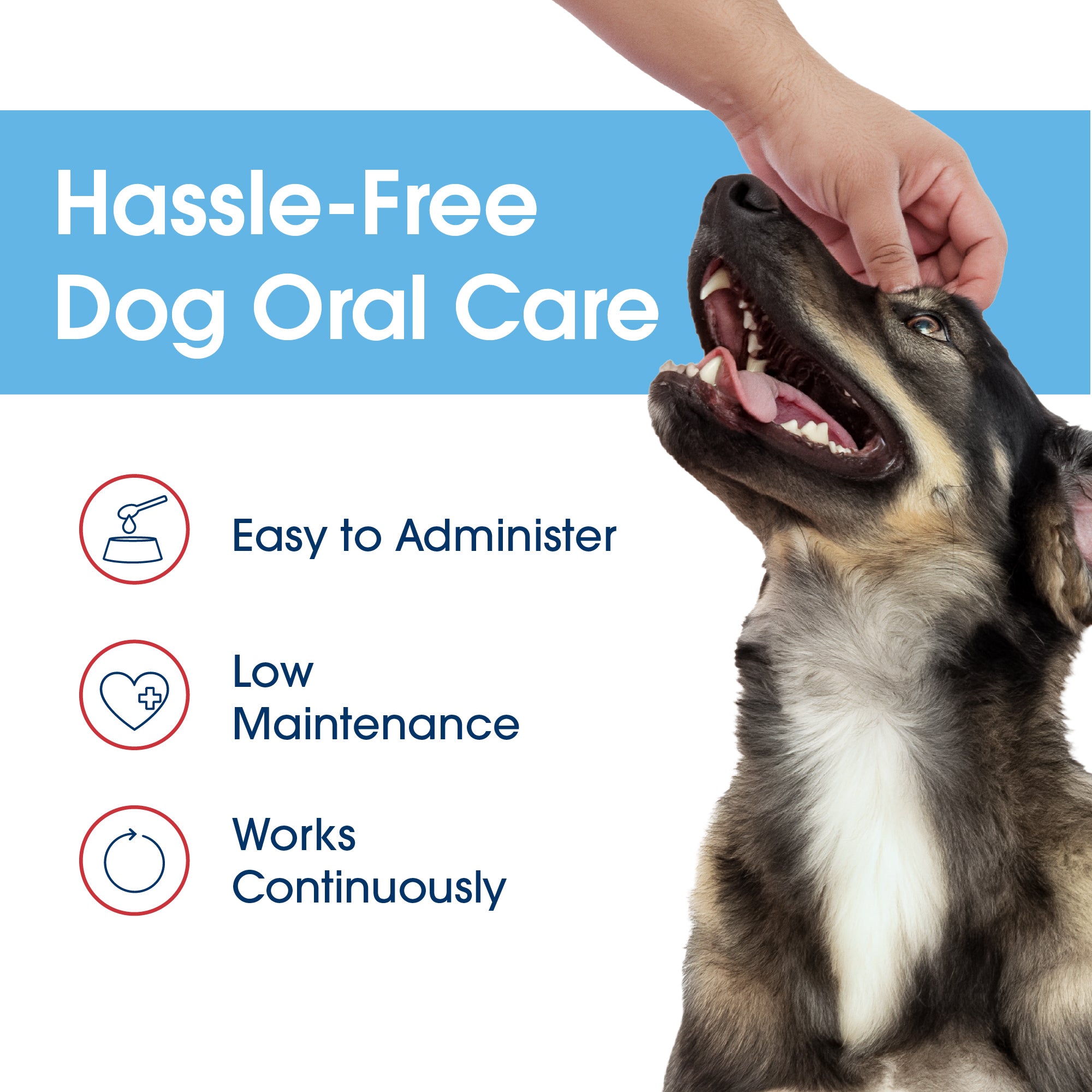 HealthyMouth® Water Additive For Dogs (Clinically Proven, VOHC Accepted)