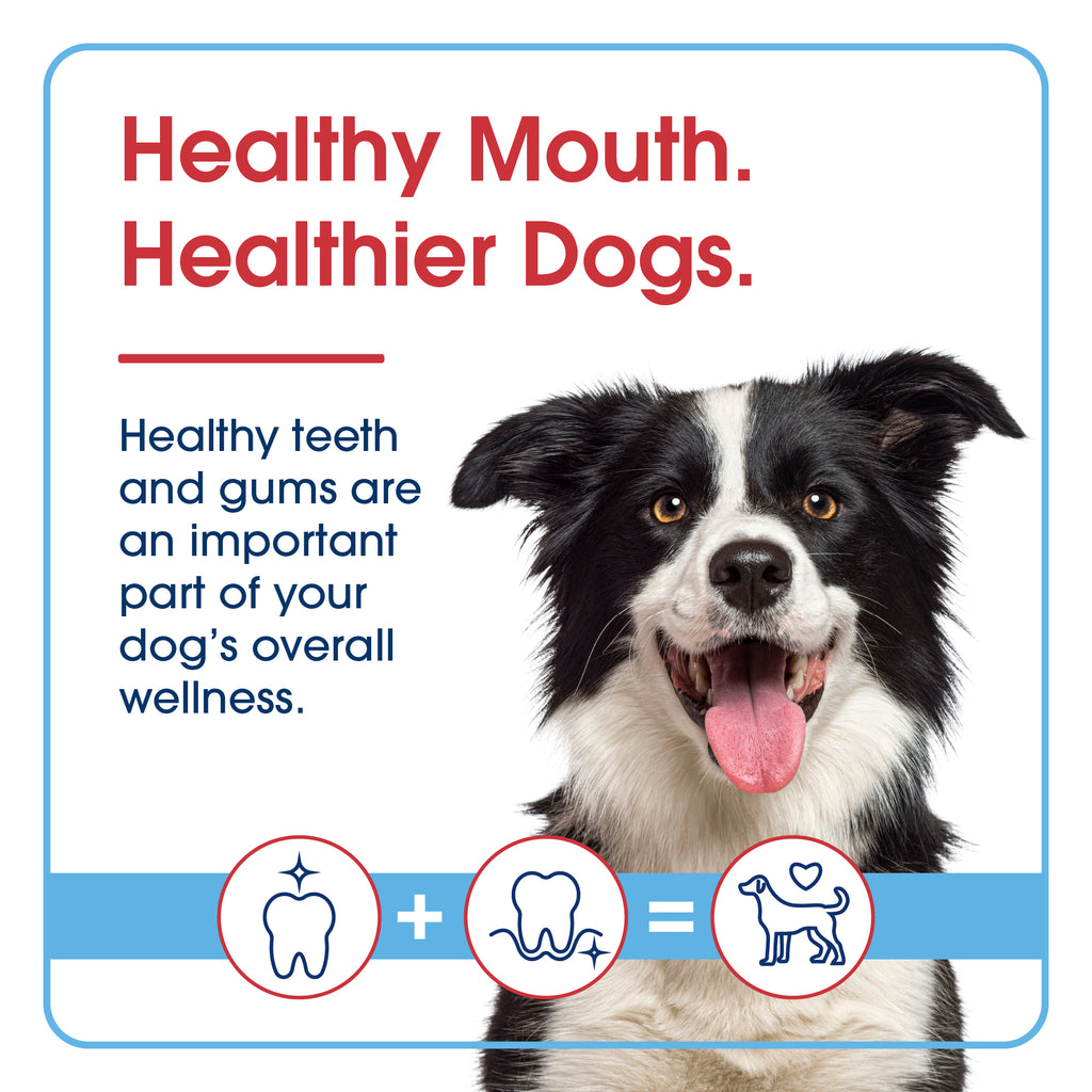 HealthyMouth® Water Additive For Dogs (Clinically Proven, VOHC Accepted)