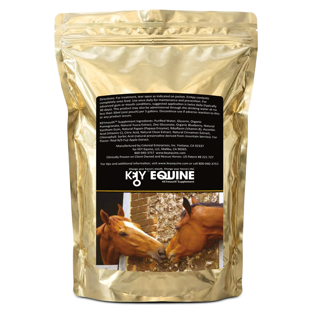 Key Equine KeyMouth Supplement for Horses (Apple, 122 Pre-Dosed Packets) Clinically Proven, 4 Month Supply