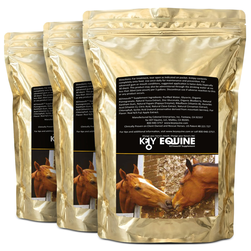 Key Equine KeyMouth Supplement for Horses (Apple, 365 Pre-Dosed Packets) Clinically Proven, 12 Month Supply