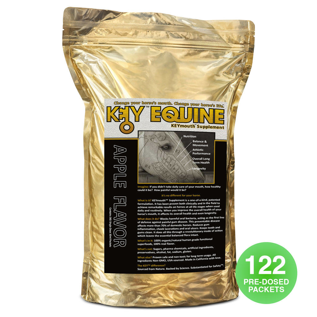 Key Equine KeyMouth Supplement for Horses (Apple, 122 Pre-Dosed Packets) Clinically Proven, 4 Month Supply