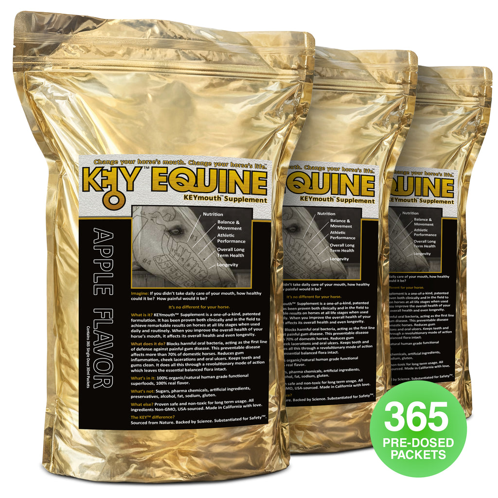 Key Equine KeyMouth Supplement for Horses (Apple, 365 Pre-Dosed Packets) Clinically Proven, 12 Month Supply