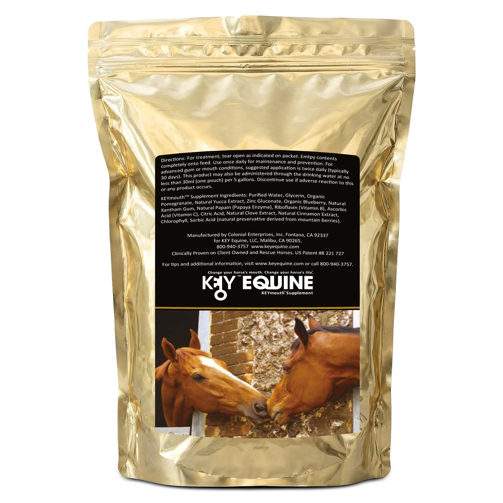 Key Equine KeyMouth Supplement for Horses (Original, 122 Pre-Dosed Packets) Clinically Proven, 4 Month Supply