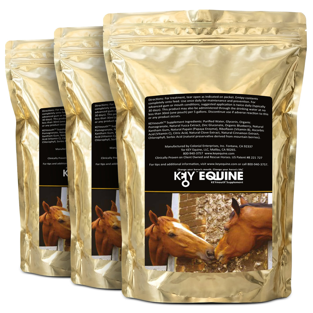 Key Equine KeyMouth Supplement for Horses (Original, 365 Pre-Dosed Packets) Clinically Proven, 12 Month Supply