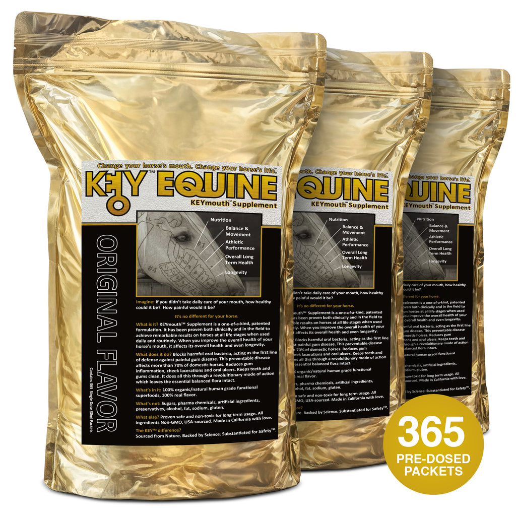 Key Equine KeyMouth Supplement for Horses (Original, 365 Pre-Dosed Packets) Clinically Proven, 12 Month Supply