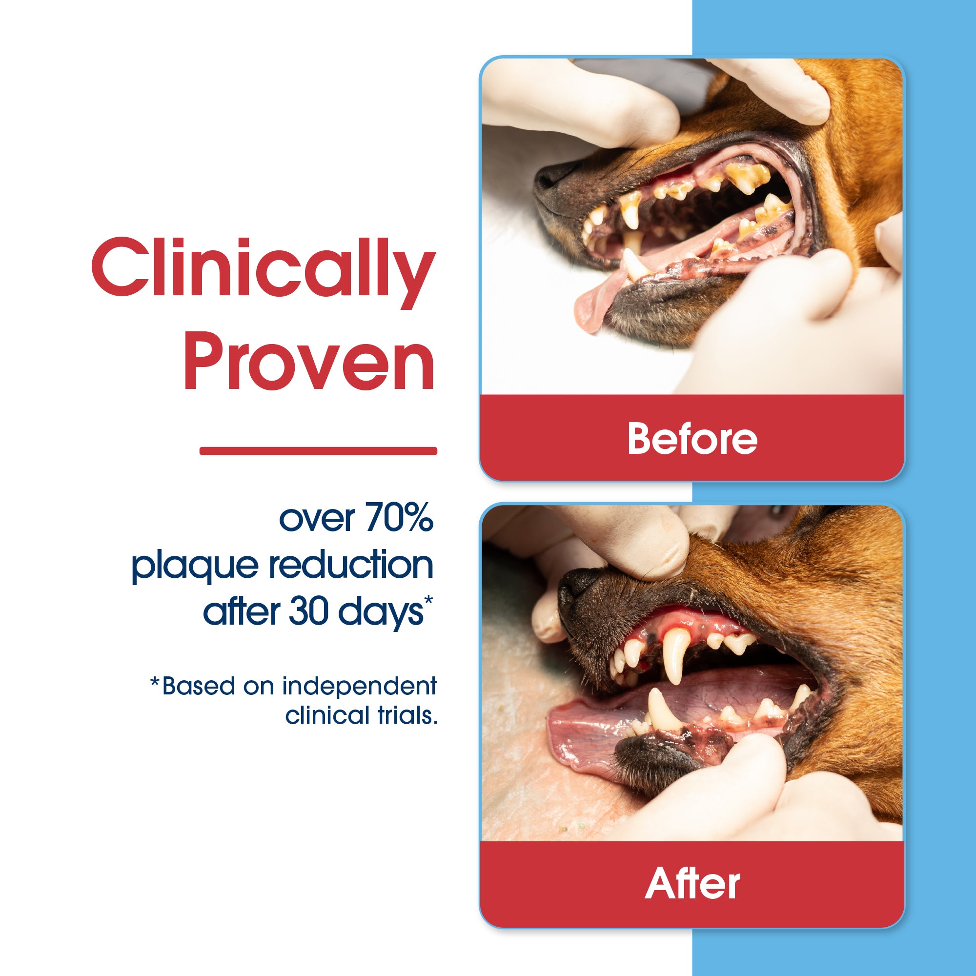 HealthyMouth® Water Additive for Dogs (8 oz) Clinically Proven, VOHC® Accepted