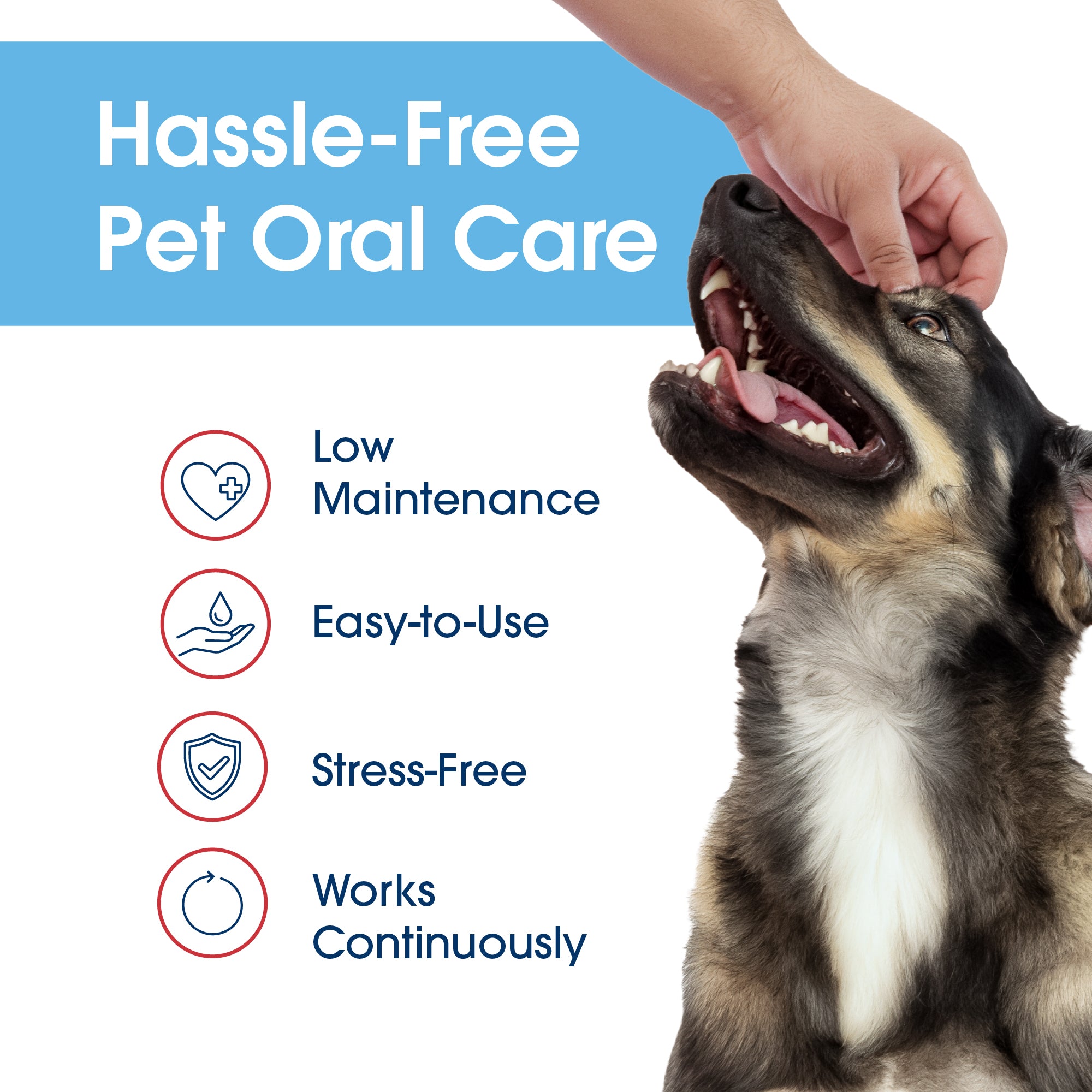 HealthyMouth® Water Additive for Dogs (8 oz) Clinically Proven, VOHC® Accepted